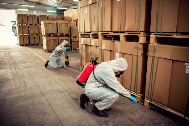 Best Bed Bug Extermination  in Walnut Creek, OH