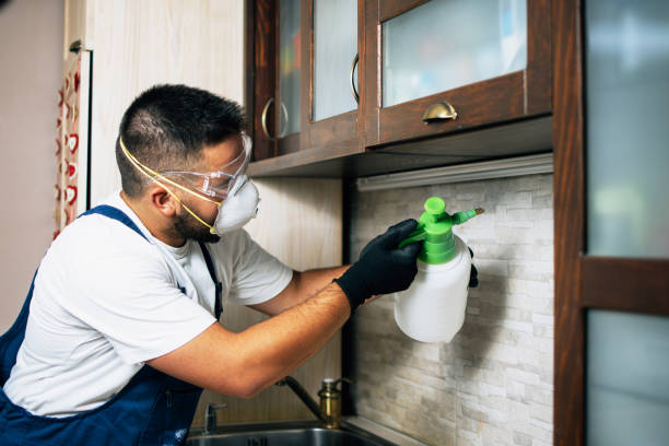 Pest Control for Restaurants in Walnut Creek, OH