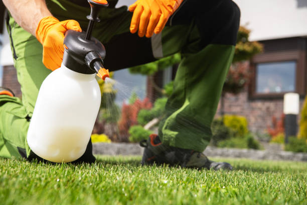 Best Wasp Removal Services  in Walnut Creek, OH