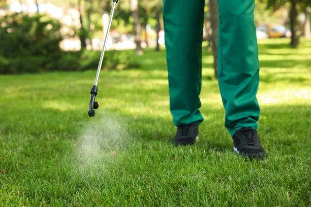 Best Pest Control for Homes  in Walnut Creek, OH