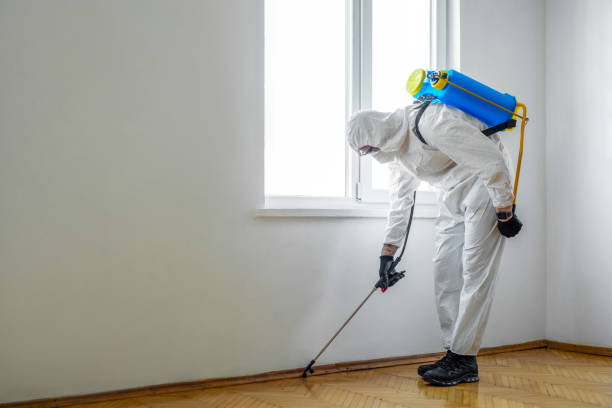 Best Residential Pest Control  in Walnut Creek, OH