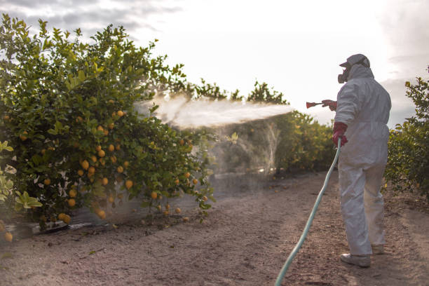 Best Mosquito Control Services  in Walnut Creek, OH