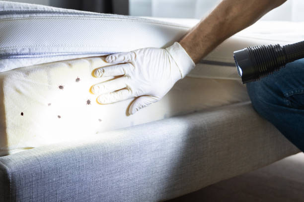 Best Pest Removal Services  in Walnut Creek, OH