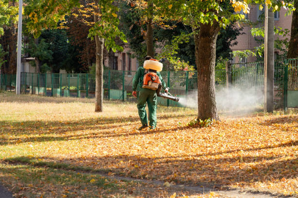 Best Wildlife Control Services  in Walnut Creek, OH