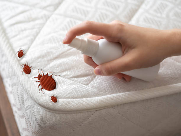 Best Residential Pest Control  in Walnut Creek, OH