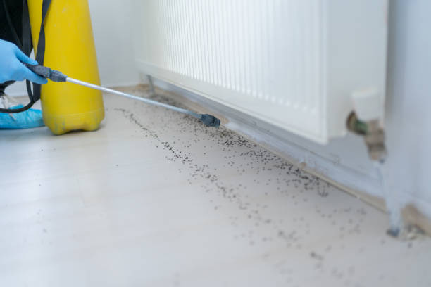 Walnut Creek, OH Pest Control Company
