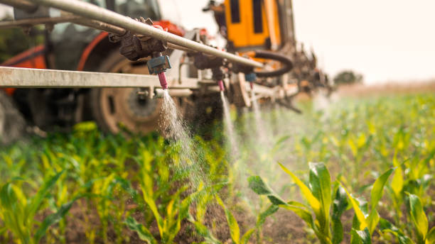 Best Commercial Pest Control Services  in Walnut Creek, OH